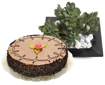 Send Flowers/Cake Send Flowers/Cake